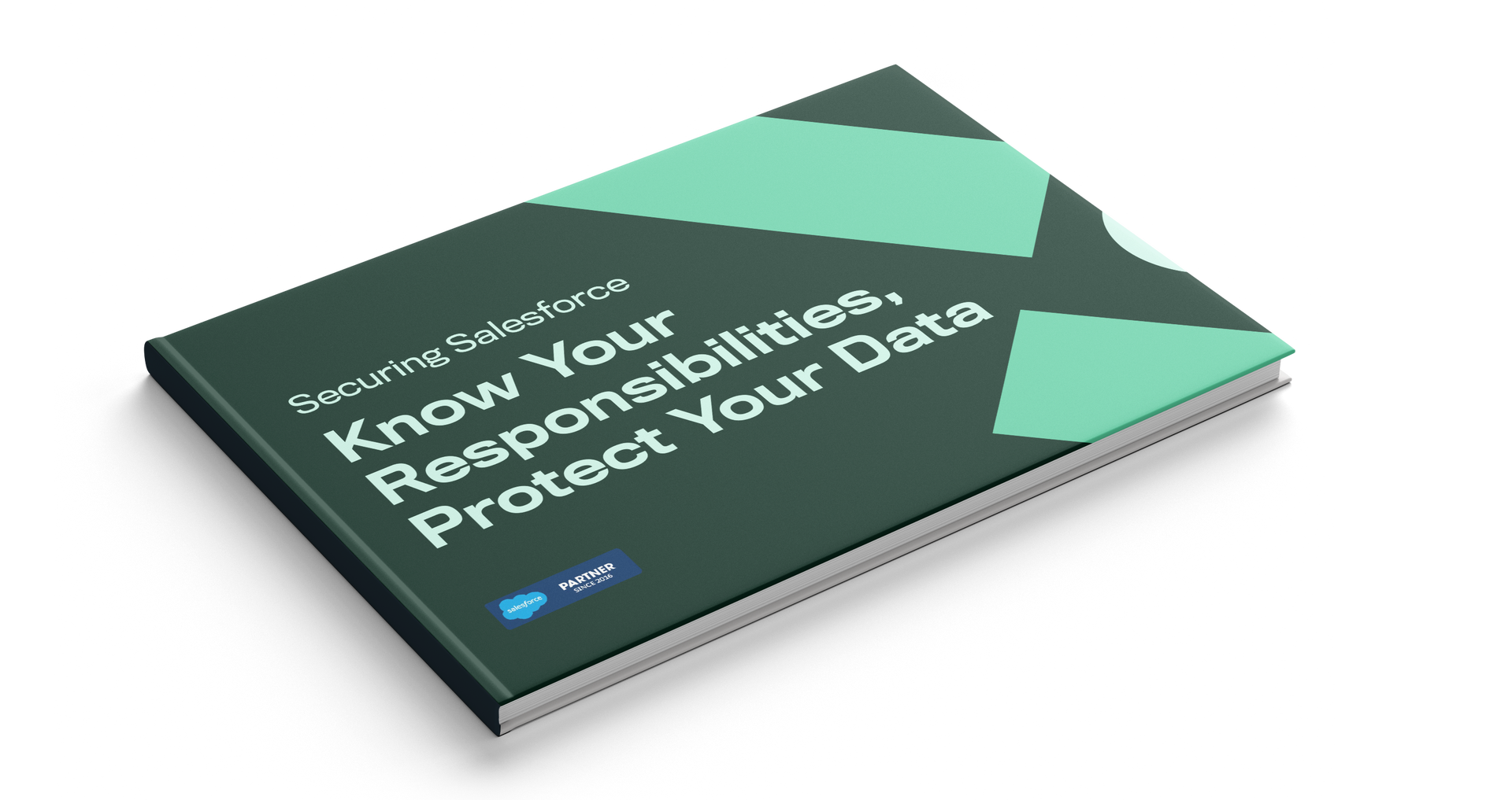 Think your Salesforce data is secure? Think again. - Cloud Protection ...